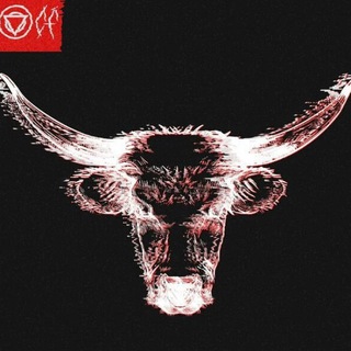 Telegram profile photo for OI L/S Stat