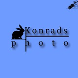 Telegram profile photo for 📸 Фотограф Даниил Кондрашин | Portrait Самара | konrads_photo