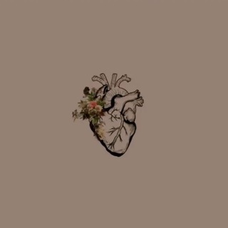 Telegram profile photo for قرآن|QURAN