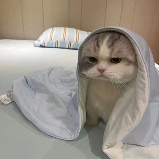 Telegram profile photo for Cented π¨π¦ 100x Gems