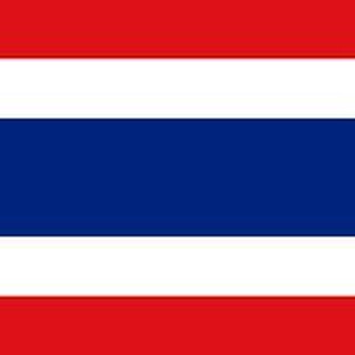 Telegram profile photo for 泰国华人互助群🇹🇭🇨🇳