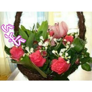 Telegram profile photo for golگلبرگbarg