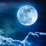 Telegram profile photo for Kind moon token