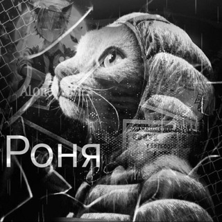Telegram profile photo for спичечнный(2н)