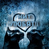 Telegram profile photo for НИТ любят!¡
