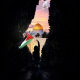 Telegram profile photo for فلسطين بلاد الإسلام و المسلمين