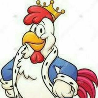 Telegram profile photo for 🐓 خروس قندی 🐓