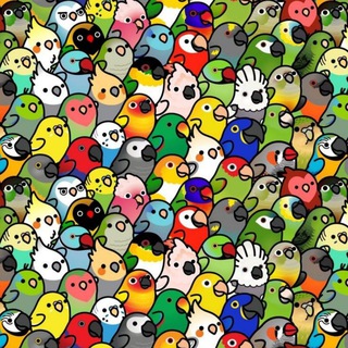Telegram profile photo for Блядские попуги