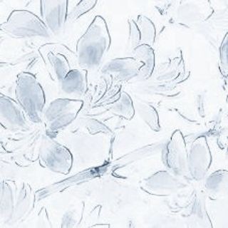 Telegram profile photo for ♯𝓛ꪮ𝐭𝘁ɪᴇ'ׅ꯱ 𝐝𝙾ll𝐡ou𝘀𝗲۶٩