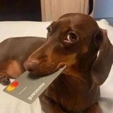 Telegram profile photo for The moon is not that far away