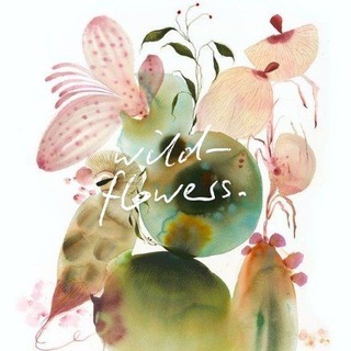 Telegram profile photo for wildflowers.