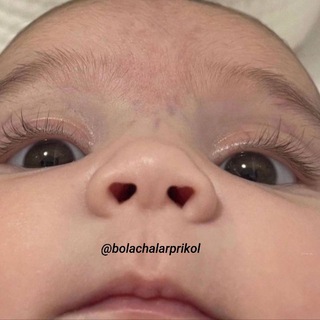 Telegram profile photo for BoLaJonLar Prikol