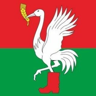 Telegram profile photo for ТАЛДОМ РАДАР
