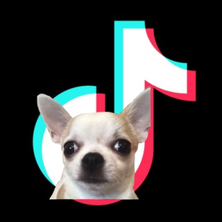 Telegram profile photo for Да я (гарем вундеркиндов)