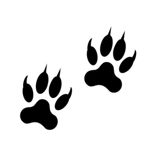 Telegram profile photo for Sharp Paws 🐾