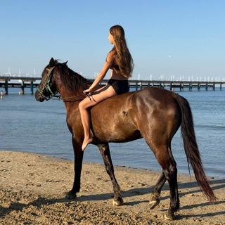 Telegram profile photo for 🐎LifeONhorseback🍁