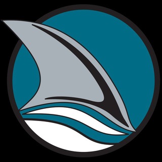 Telegram profile photo for SharkLogistic | Бизнес с Китаем