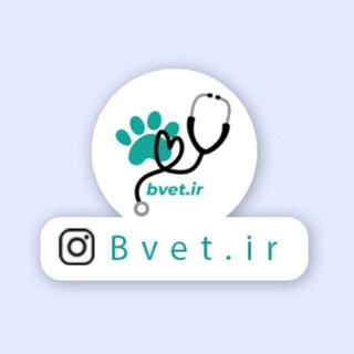 Telegram profile photo for استخدام و کاریابی دامپزشکی Bvet