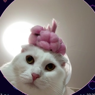 Telegram profile photo for 𝕸𝖎𝖓𝖏𝖎