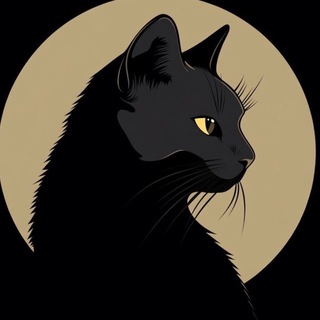 Telegram profile photo for Website Store