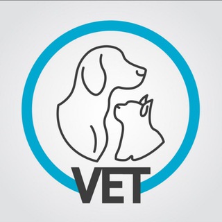 Telegram profile photo for إمتحانات طب بيطرى جميع المواد