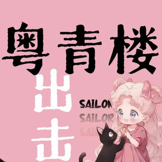 Telegram profile photo for 广州深圳东莞佛山 出击