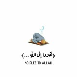 Telegram profile photo for °|✿ Islamic gallery ✿|°