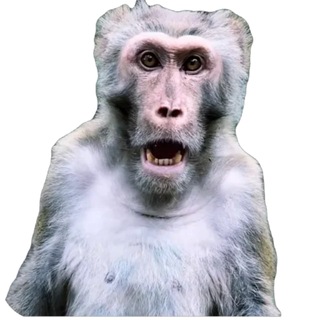 Telegram profile photo for beverly.