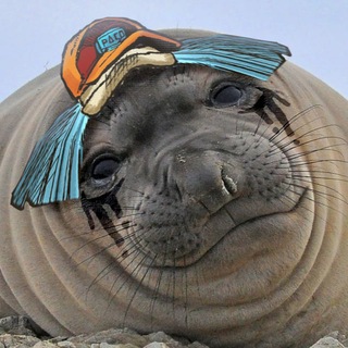 Telegram profile photo for ШЕРШЕНЬ