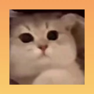 Telegram profile photo for Отзывы | Тихон