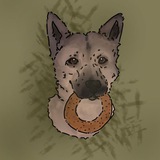 Telegram profile photo for Леди среди своих🤫