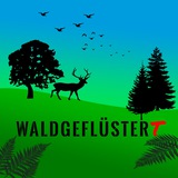 Telegram profile photo for WALDGEFLÜSTERT
