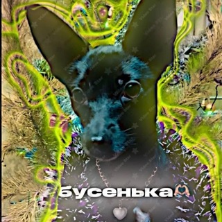 Telegram profile photo for 🐾Буська🐾dog⚡