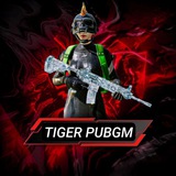 Telegram profile photo for TIGER ISBOT