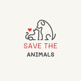 Telegram group profile photo for ๐บ๐ฆ SAVE THE ANIMALS ๐บ๐ฆ