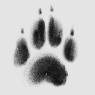 Telegram profile photo for nailsholic