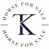Telegram profile photo for TK