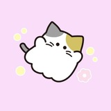 Telegram profile photo for چاپخونه میوسان