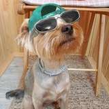 Telegram profile photo for Иишки от Арчика