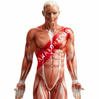 Telegram profile photo for ANATOMICUS