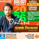 Telegram profile photo for 2026 Theory Bashana Wthanage