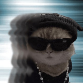 Telegram profile photo for Motion $MOTION Entry