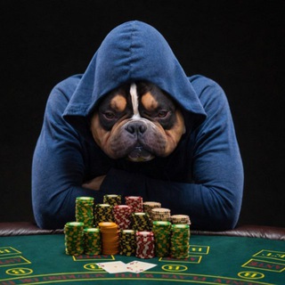 Telegram profile photo for Володя Лудик