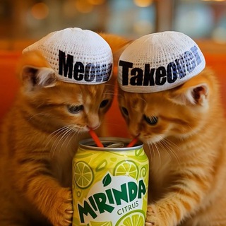 Telegram profile photo for MeowTakeover
