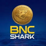 Telegram profile photo for BNC SHARK (BNSH) Community 🦈