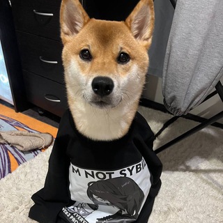 Telegram group profile photo for юзлес чат