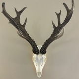 Telegram profile photo for Еланское Охотхозяйство