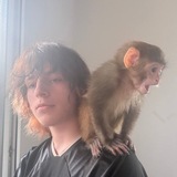 Telegram profile photo for Полный Марк 😋