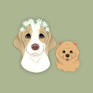 Telegram profile photo for Пара сталкеров