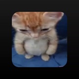 Telegram profile photo for Правила турниров